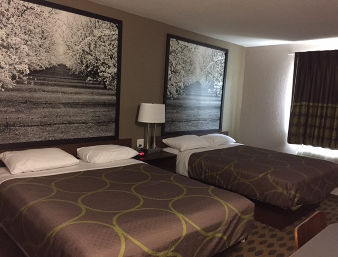Hotel Super 8 By Wyndham Willows